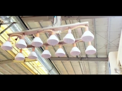 bán nóng bánh quy Mason bình bình nhựa với giá rẻ